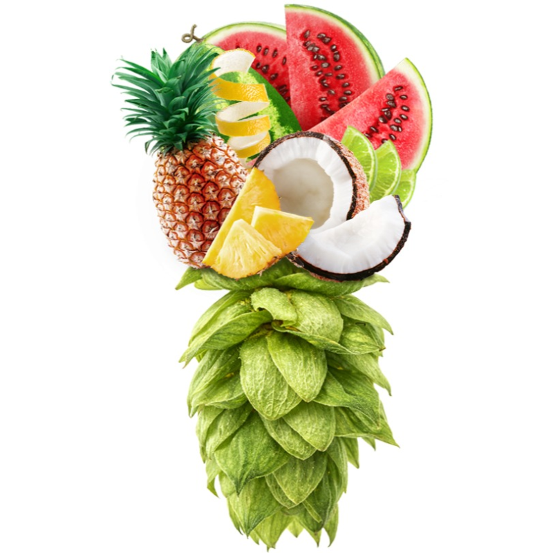 Produkt - Chmel Cashmere (USA)