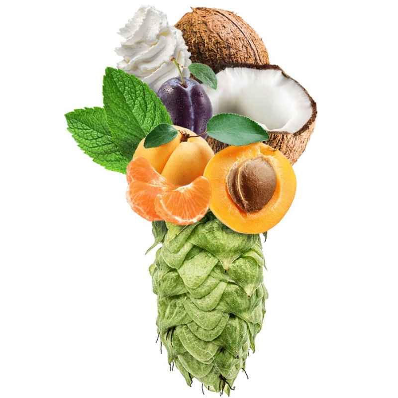 Produkt - Chmel Sabro (USA)