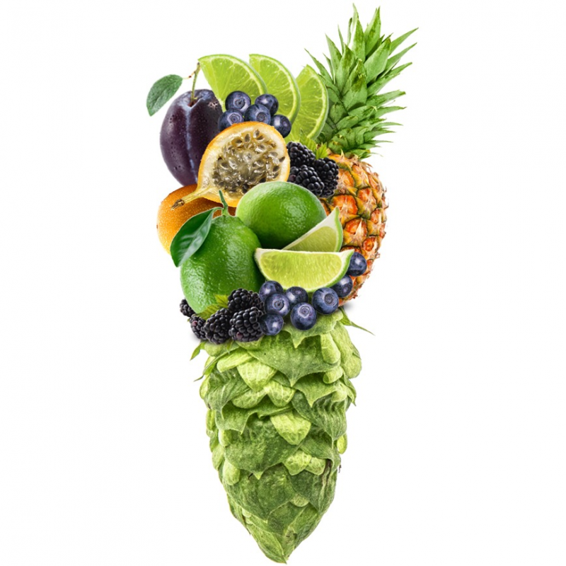 Produkt - Chmel Simcoe (USA)