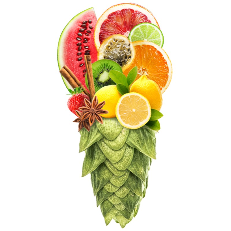 Produkt - Chmel Venus (Česká republika)