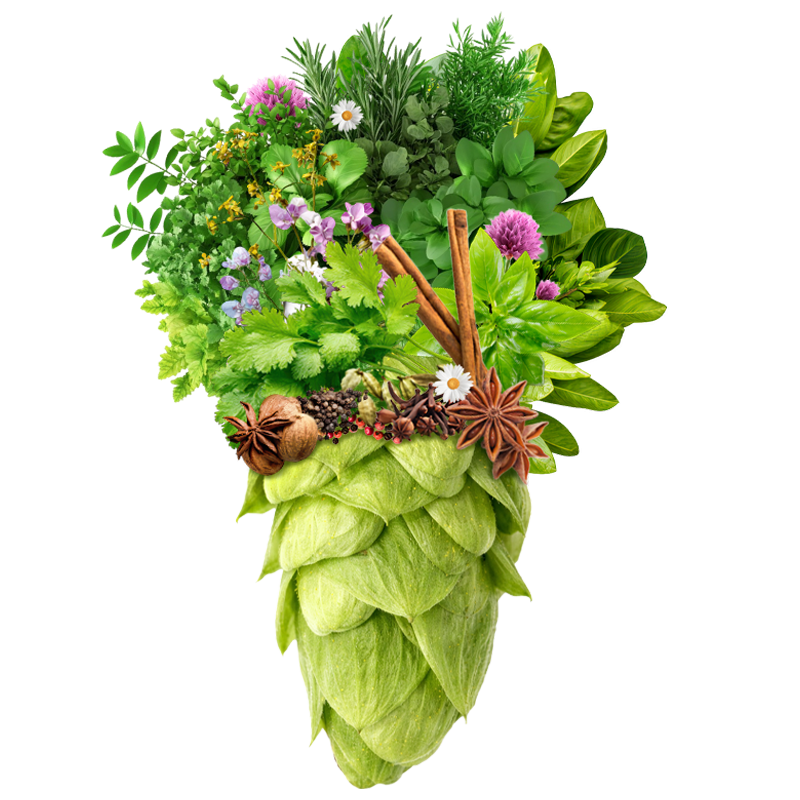 Produkt - Chmel Vital (Česká republika)