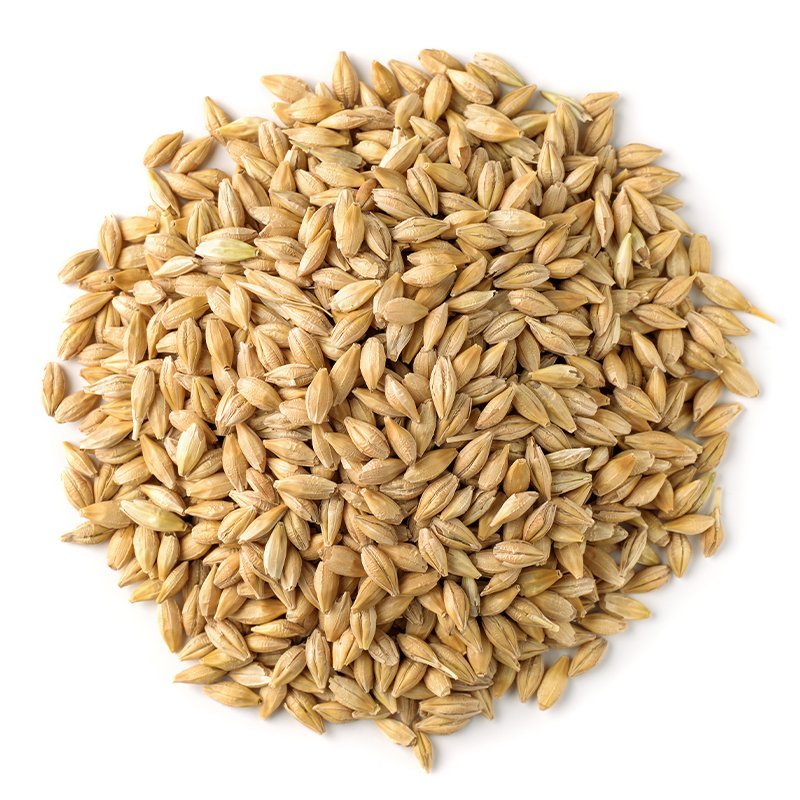 Produkt - Slad Rye Pale (Slad světlý žitný)