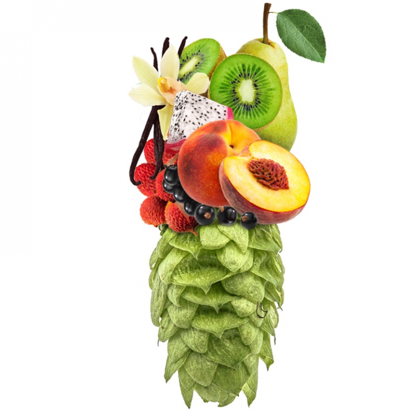 Produkt - Chmel Ariana (Německo)