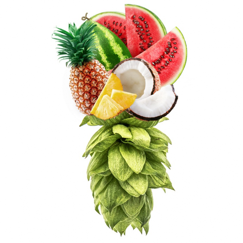 Produkt - Chmel Cashmere (USA)