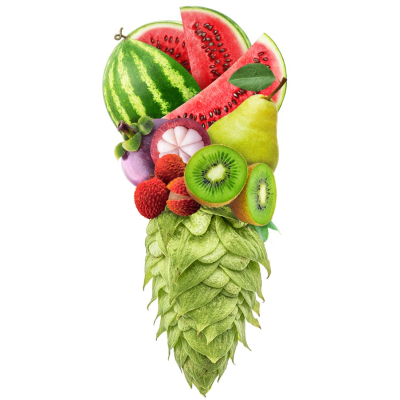 Produkt - Chmel El Dorado (USA)