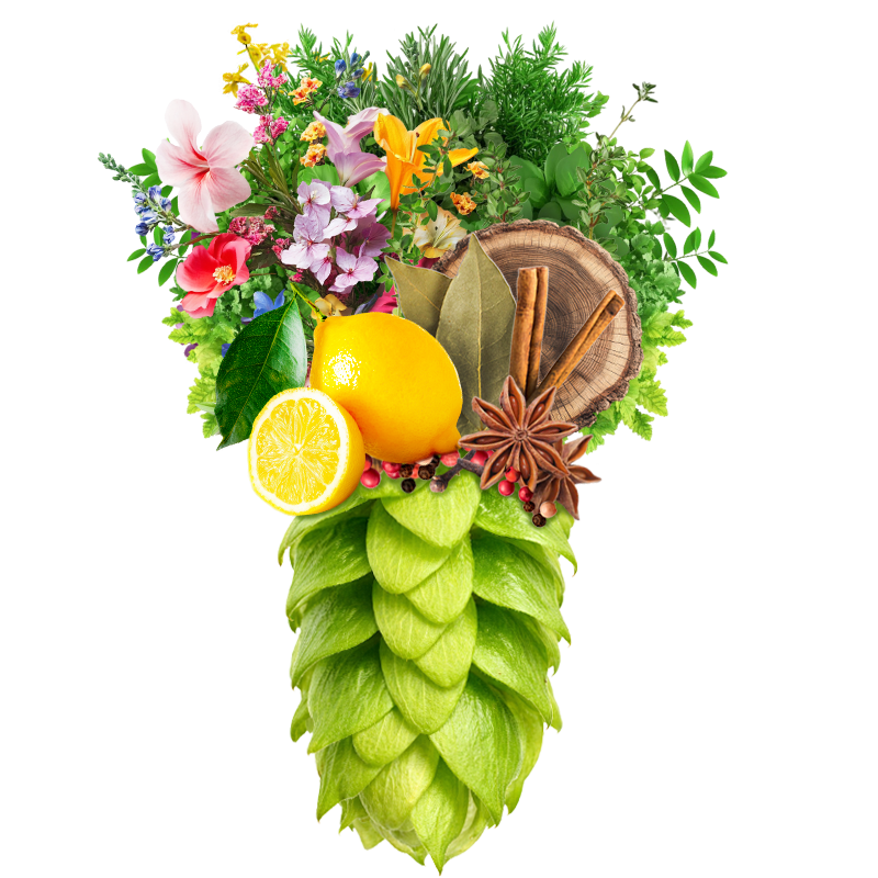 Produkt - Chmel Spalter Select (Německo)