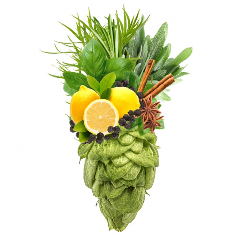 Produkt - Chmel Sterling (USA)