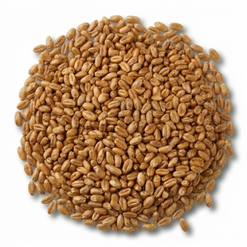Produkt - Wheat Blanc