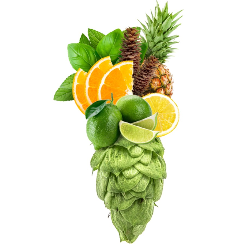 Produkt - Chmel Nugget (Německo)