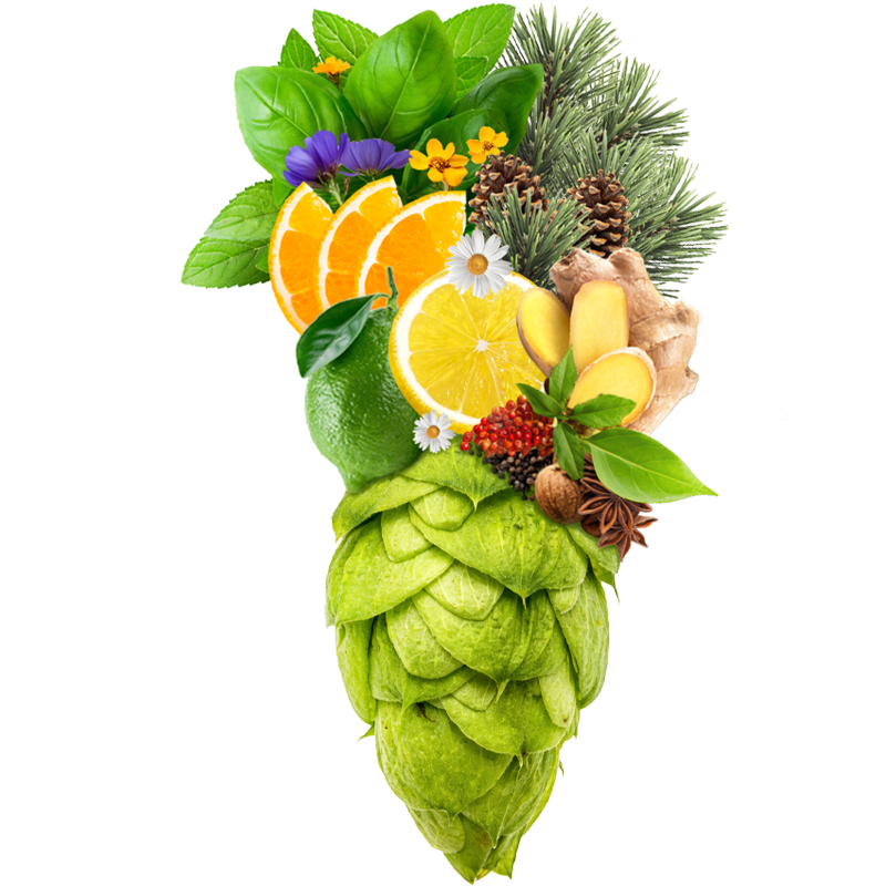 Produkt - Chmel Nugget (USA)