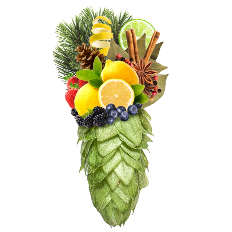 Produkt - Chmel Uran (Česká republika)