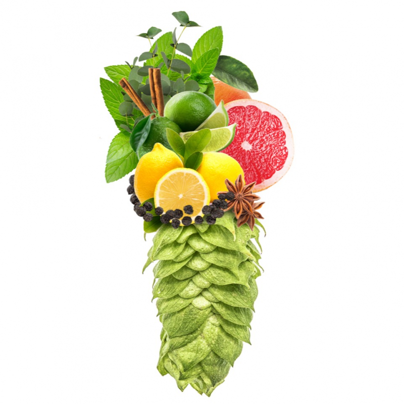 Produkt - Chmel Strisselspalter (Francie)