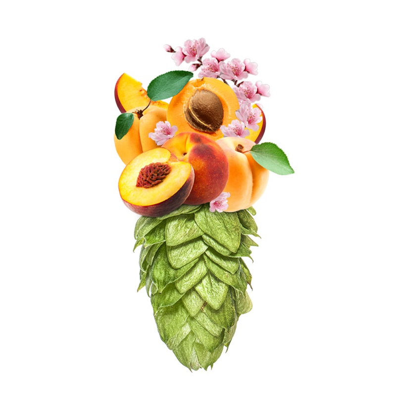 Produkt - Chmel Rakau (Nový Zéland)