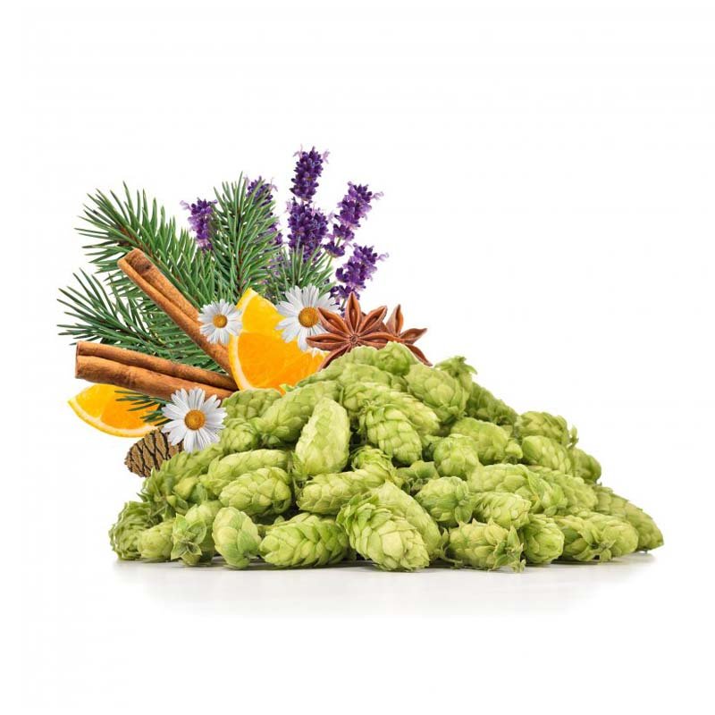 Produkt - ŽPČ - Čerstvý hlávkový chmel