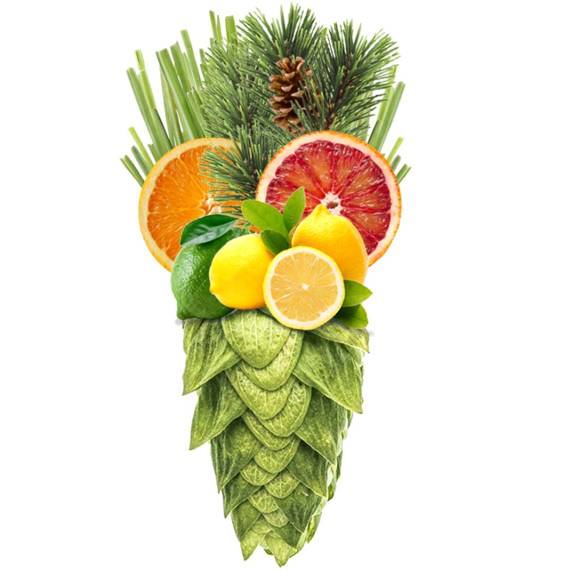 Produkt - Chmel Dr.Rudi (Nový Zéland)