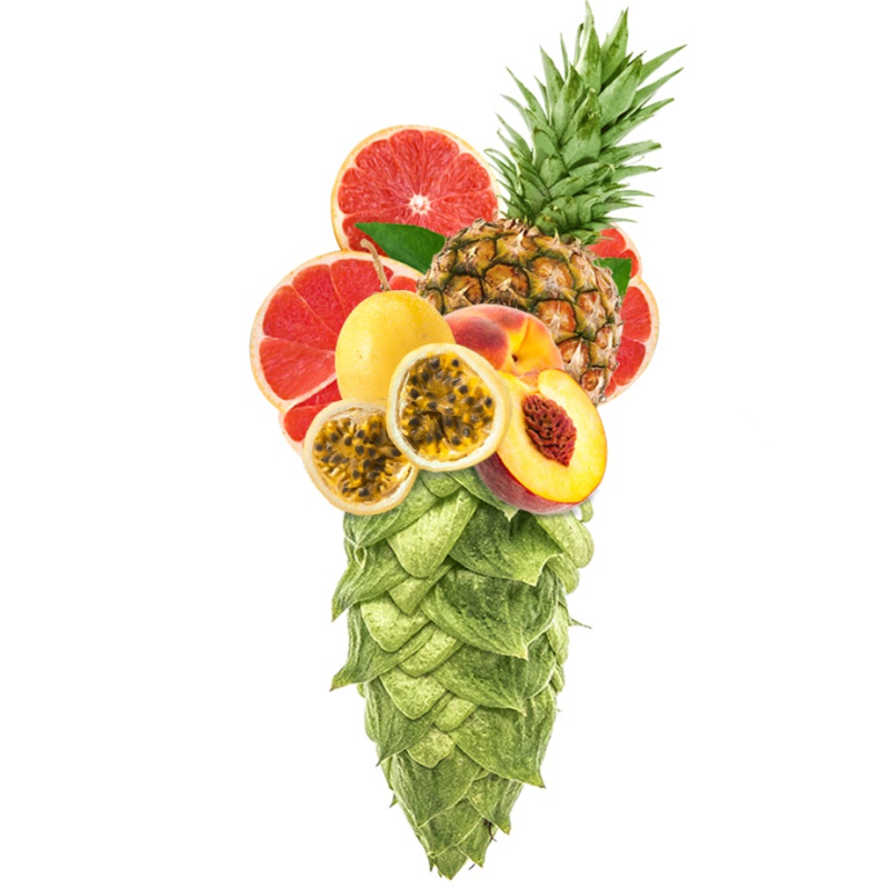 Produkt - Chmel Nectaron (Nový Zéland)