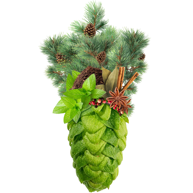 Produkt - Chmel Hallertau Northern Brewer (Německo)