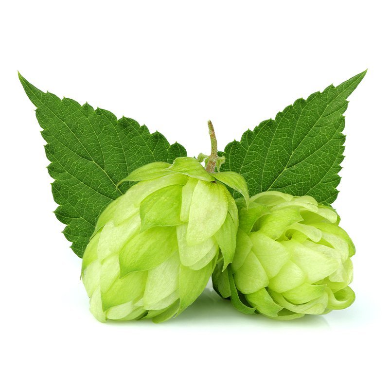 Produkt - Chmel Hallertau Northern Brewer (Německo)