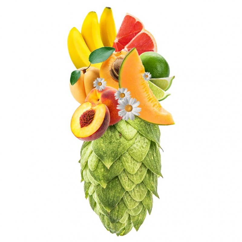 Produkt - Chmel Amarillo (USA)