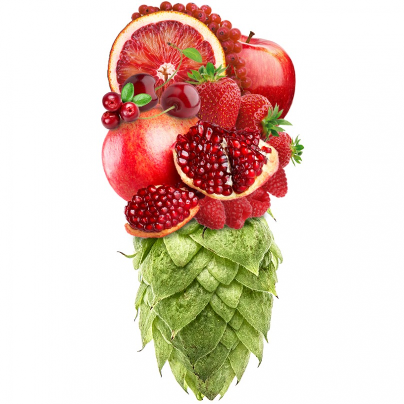 Produkt - Chmel Monroe (Německo)