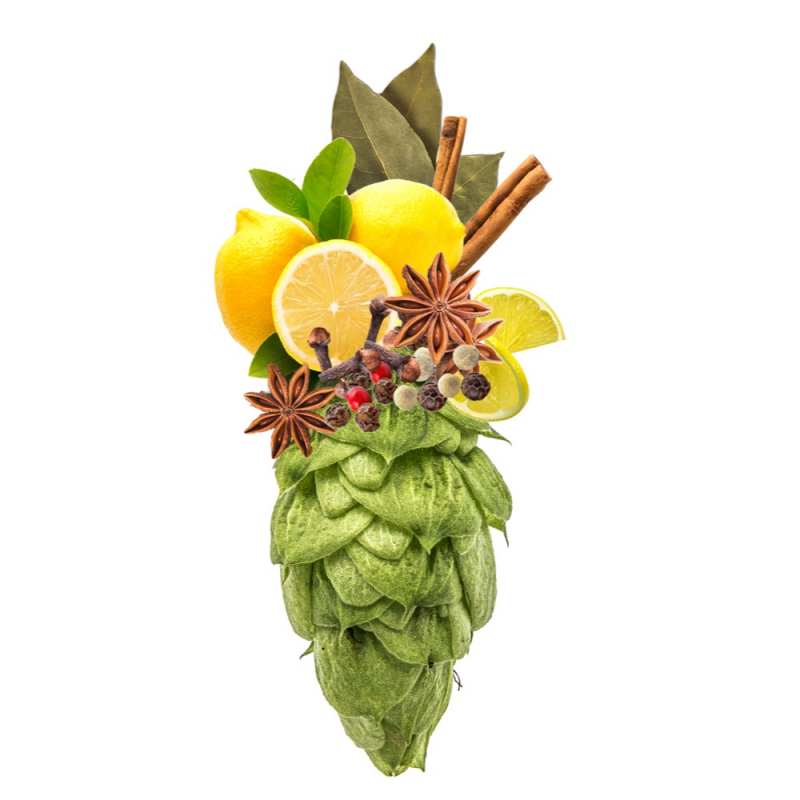 Produkt - Chmel Agnus (Česká republika)