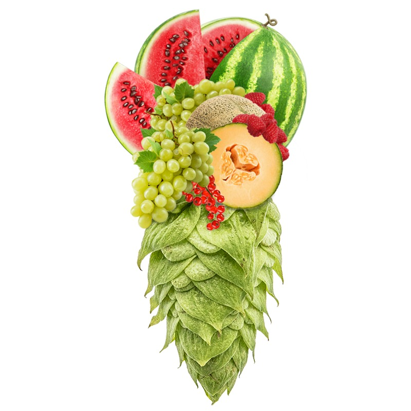 Produkt - Chmel Enigma (Austrálie)