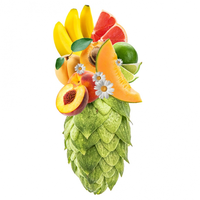 Produkt - Chmel Amarillo (USA)