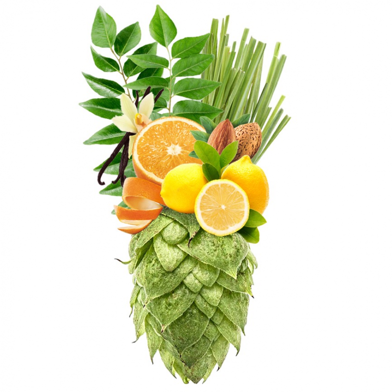 Produkt - Chmel CTZ/Columbus Tomahawk Zeus (USA)