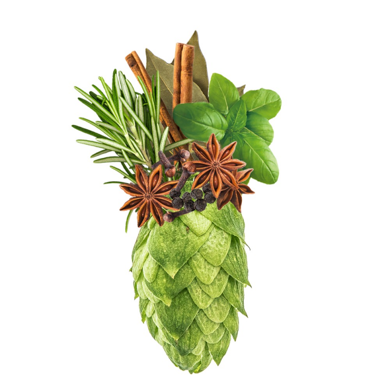 Produkt - Chmel Rubín (Česká republika)