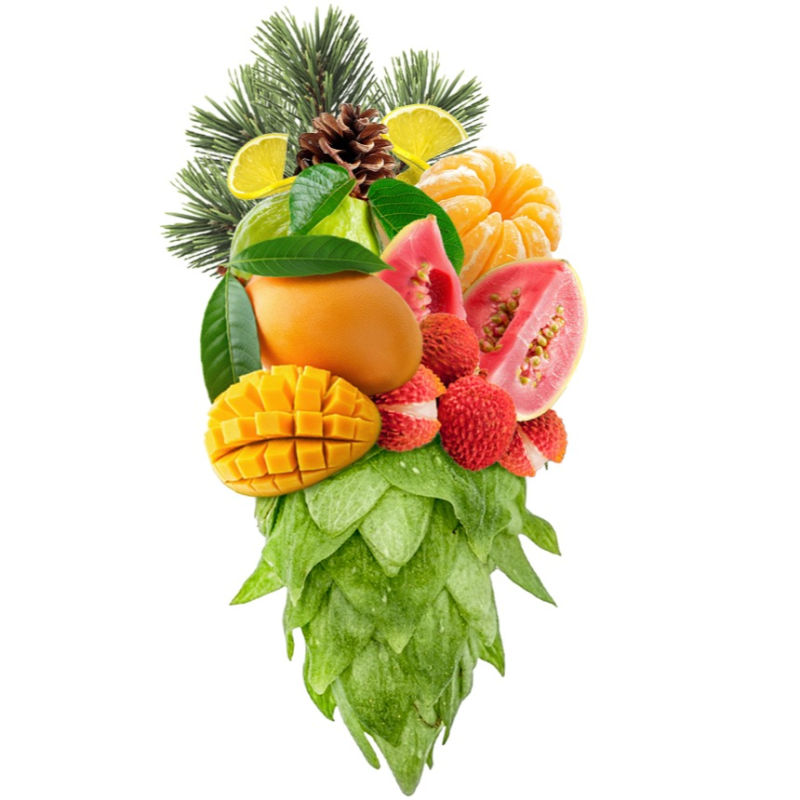 Produkt - Chmel Krush (USA)