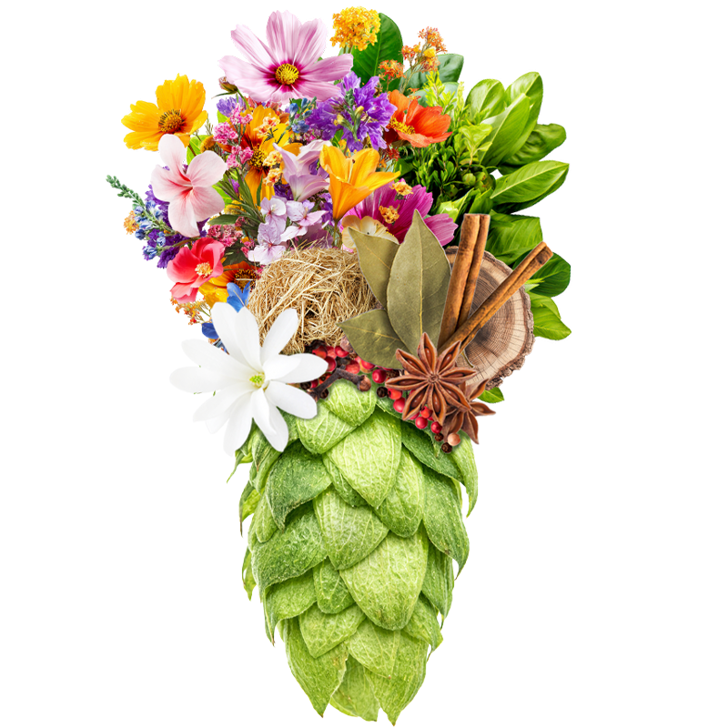 Produkt - Hallertau Hersbrucker Spat (Německo)