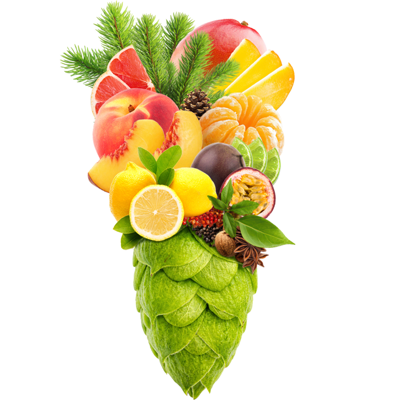 Produkt - Chmel Hallertau Tango