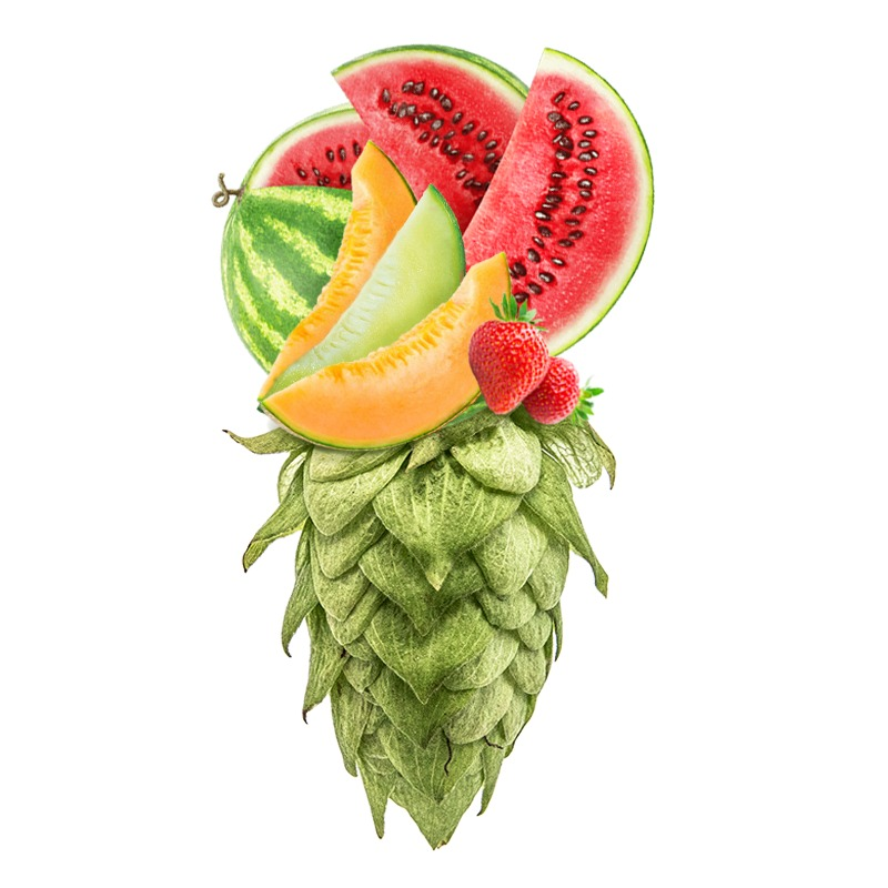 Produkt - Chmel Hallertau Huell Melon (Německo)