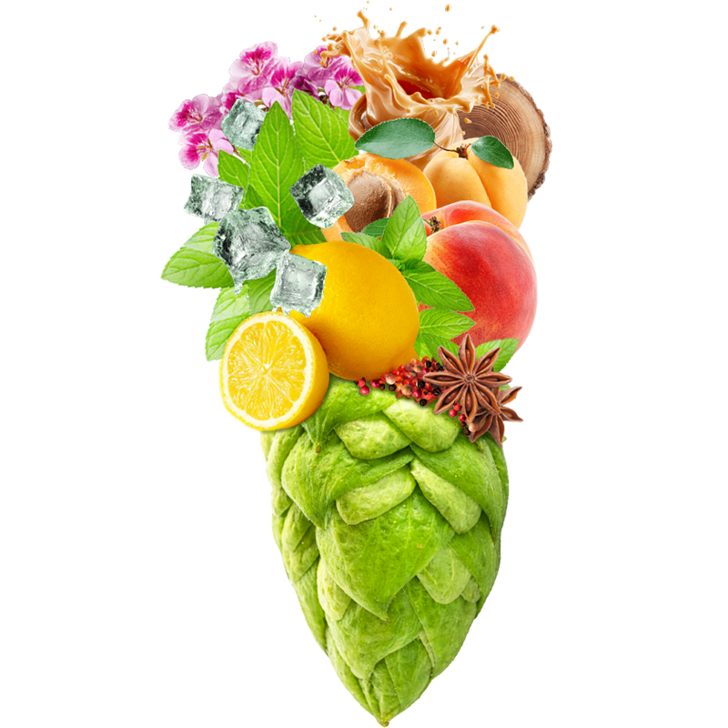 Produkt - Chmel Hallertau Titan (Německo)