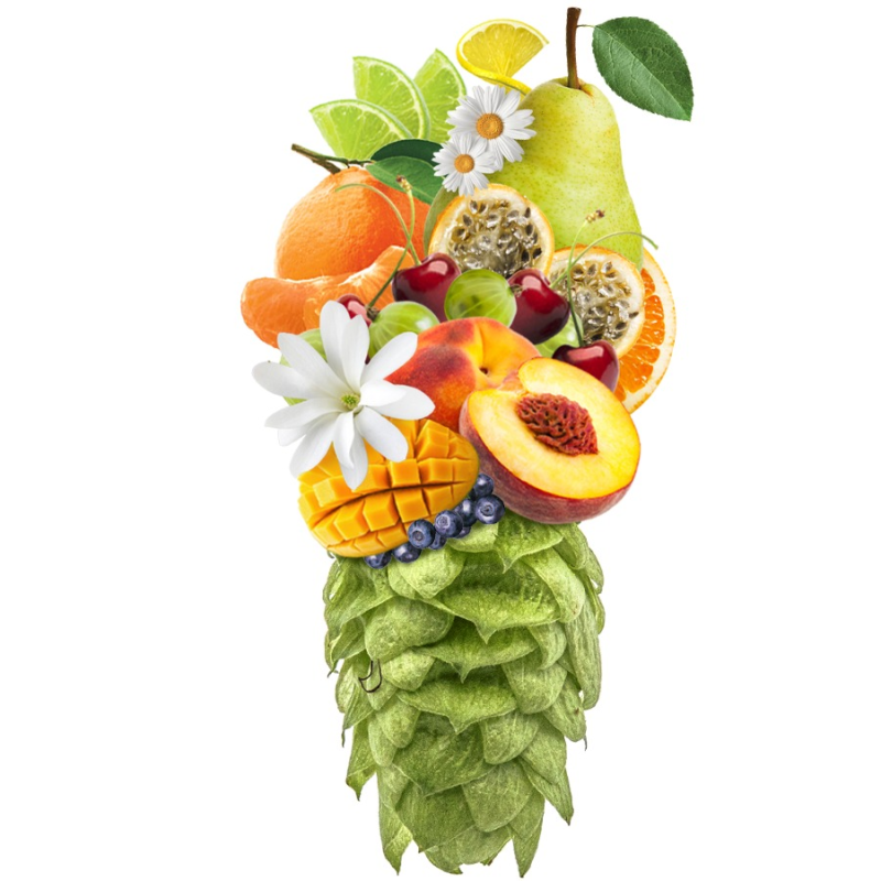 Produkt - Chmel Mosaic (USA)